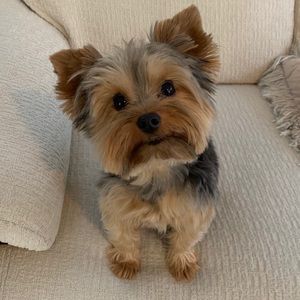 Meet your Posher, Zalina